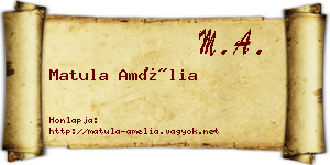 Matula Amélia névjegykártya